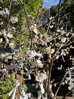 細川直美、“一日参り”で念入りに祈願した理由を明かす「清々しい気持ちでスタート」