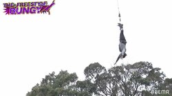 恐怖心のおかげで「感情が戻った」？巨漢・糸谷哲郎八段、バンジージャンプの“ショック療法”