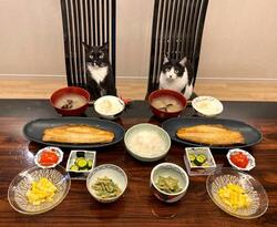 藤あや子、大満足だった夕食のメニューを公開「最高」「美味しそう」の声 