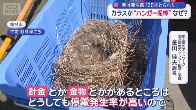 「停電発生確率が高いので撤去する」