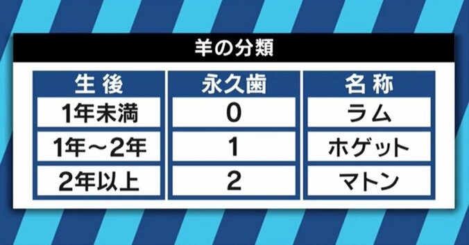 「ホゲット肉」「ベル派vsソラチ派」「味付け派vs後付け派」奥深いジンギスカンの世界 3枚目