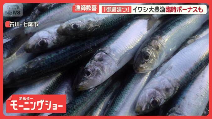 イワシやマグロが異例の豊漁　ウナギ値下げ…2年連続の稚魚豊漁　水産業に相次ぐ異変 1枚目