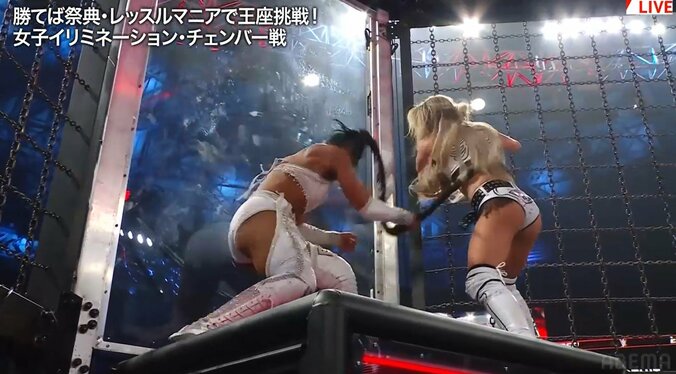 ビアンカがムチ代わりに攻撃