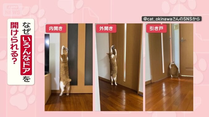 なぜいろんなドアを開けられる？