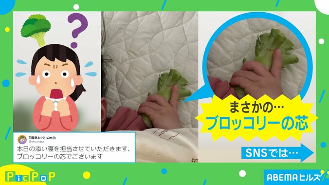 1歳男児が“添い寝相手”に選んだアイテムが話題「あのフィット感良いよね」「子どもの感性可愛い」の声 2枚目