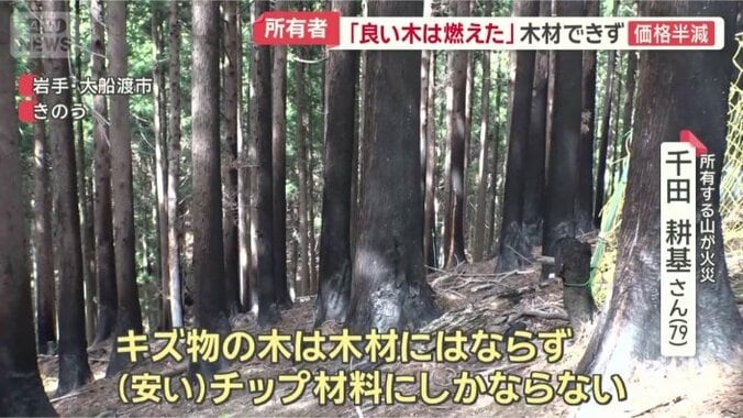 木材の価値にも影響