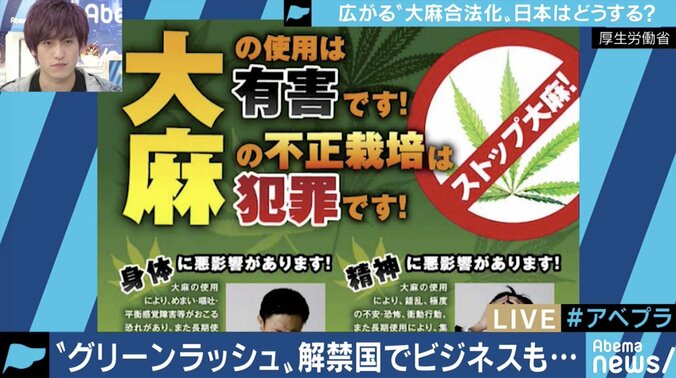 嗜好品、医療用として大きなビジネスチャンスに…先進国でも”大麻解禁”の流れ、日本はどうすべき？ 1枚目