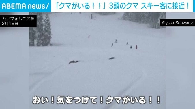 カルフォルニア州