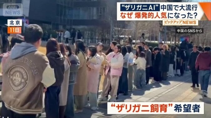 「ザリガニ飼育」希望者