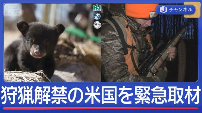 クマ個体数増え続ける日本＆狩猟解禁の米を緊急取材　“科学的に”クマ個体数を管理 1枚目