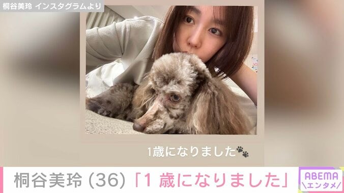 自宅を公開した桐谷美玲、リビングでくつろぐ愛犬の写真を公開「1歳になりました」 5枚目