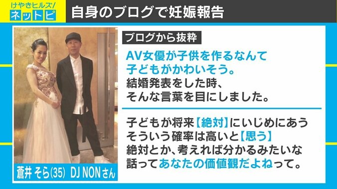 妊娠を発表した蒼井そらのブログに反響「AV女優の親だと不幸なのか」 2枚目