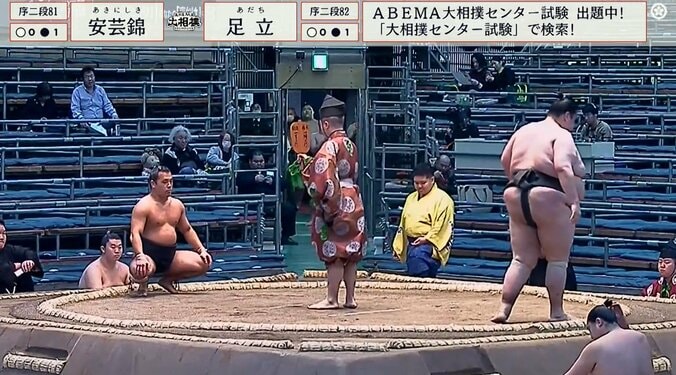 序二段八十一枚目・安芸錦