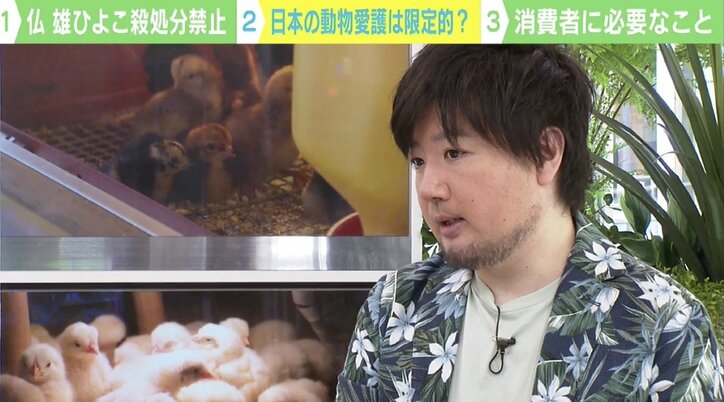 家畜の屠殺にタブー視も…魚の解体ショーはOK? 日本のアニマルウェルフェアは?