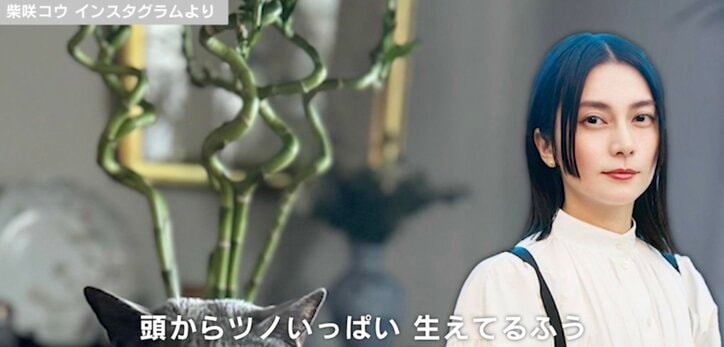 【写真・画像】北海道に建てた自宅が話題・柴咲コウ（43）、愛猫と過ごす東京の自宅公開　1枚目