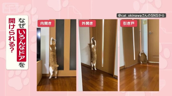 なぜいろんなドアを開けられる？