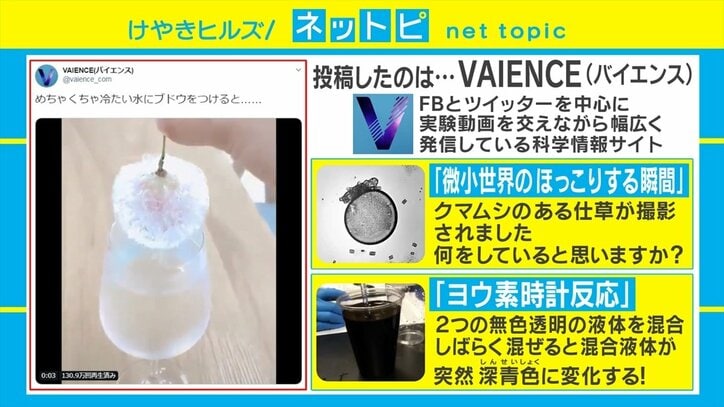 「ブドウが一瞬で氷に」神秘的で美しい科学実験がSNSで話題