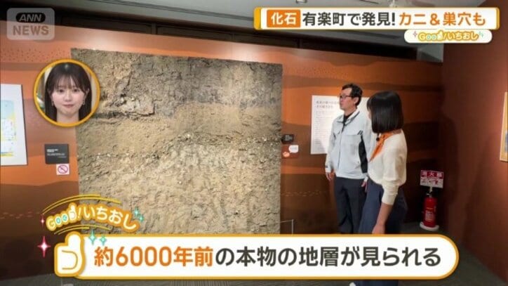 約6000年前の本物の地層が見られる
