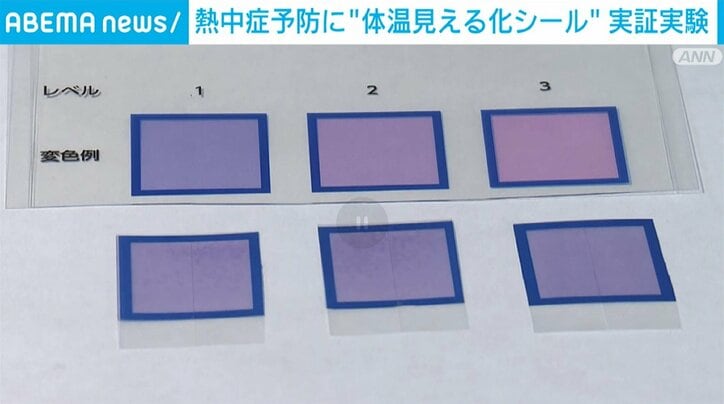 「体温を見える化するシール」