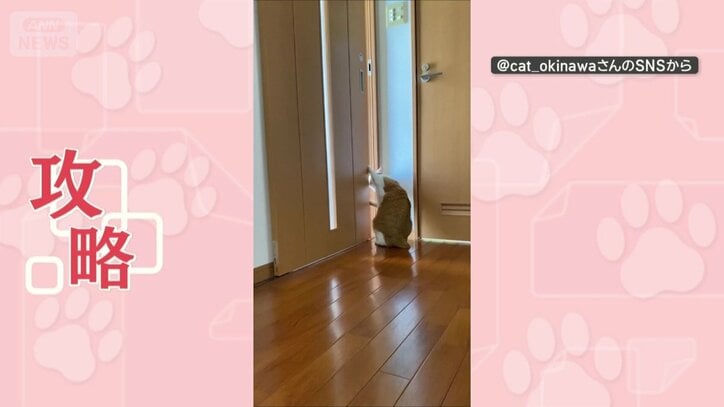 引き戸も攻略