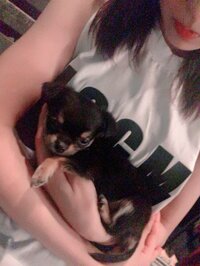 渡辺美優紀『わんちゃんU・x・U』