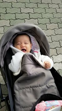 小原正子『とりせつ☆』