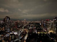 宮崎謙介『餃子祭り』