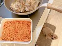 辻希美『今日から』