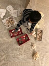 市川海老蔵『各々の整理』