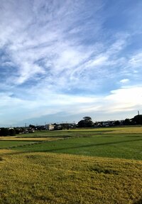 北斗晶『朝の悲劇』