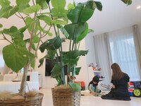 アレクサンダー『のんちゃんとお絵かきタイム』