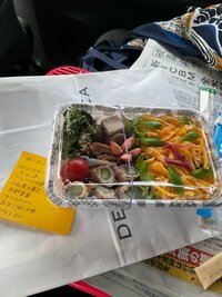 野田聖子『5年生終了!!』