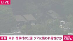 東京・檜原村の公園 クマに襲われ男性けが