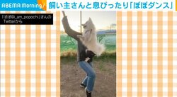 フィニッシュまで完璧！ 飼い主との“コンビダンス”をする犬に「運動神経抜群」「信頼してるの分かる」と反響続々
