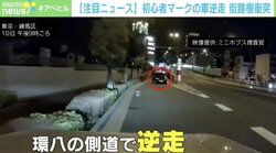運転手もパニック？ 逆走車が歩道の街路樹に突進、車には初心者マーク