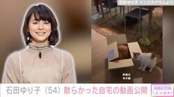 石田ゆり子「散らかっていてすみません」ダンボールが置かれた自宅の動画公開