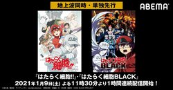 ABEMAで細胞たちの仕事をたっぷり堪能しよう！『はたらく細胞!!』＆『はたらく細胞BLACK』配信