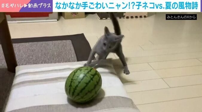 とあくん