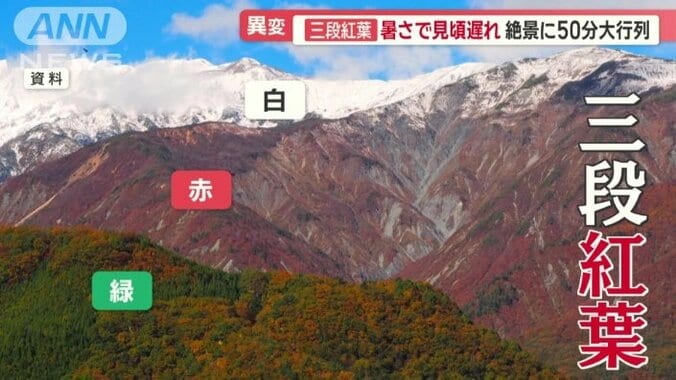 雪山とすそ野に広がる紅葉が織りなす絶景