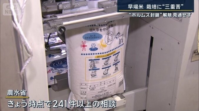 農林水産省