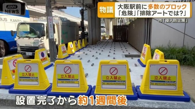 約1週間後に突起物の周りに囲い