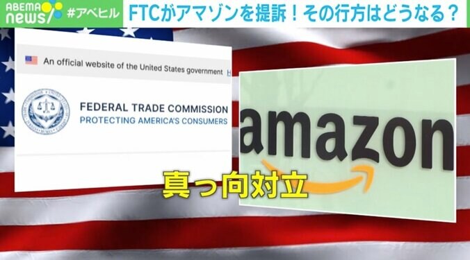 巨大IT企業への規制 「解決への道」に見る日米の違いとは？ 1枚目