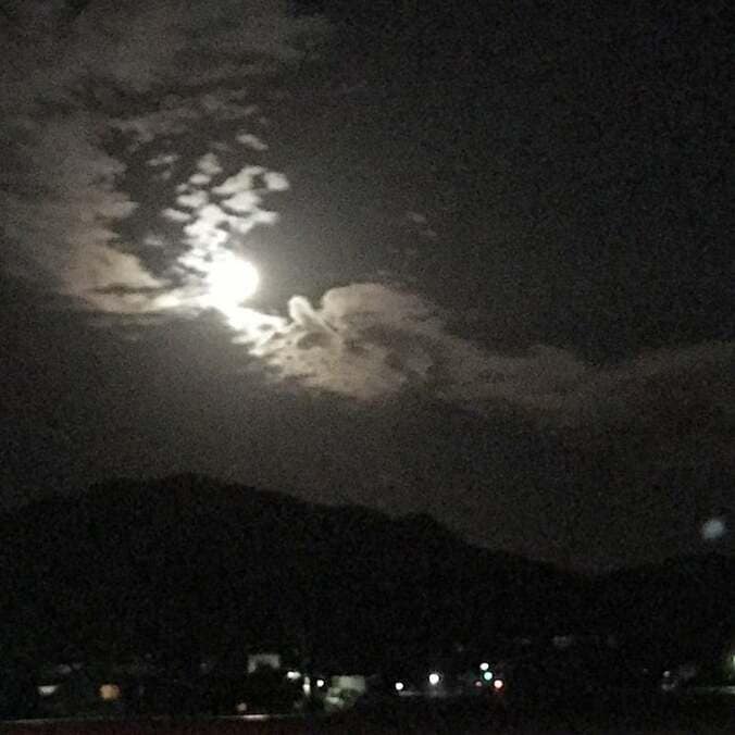 善本考香さん、子宮頸がん宣告に大声で泣き叫び「なんで私なの！！」  1枚目