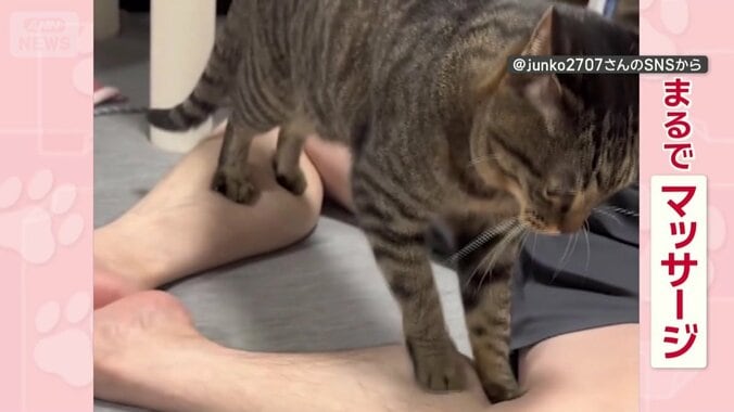 飼い主さんの足をマッサージしてる？