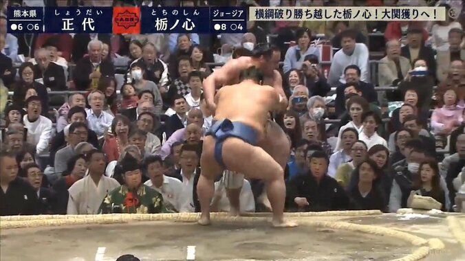 大関取りを目指す関脇・栃ノ心、“痛い取りこぼし”で5敗目 1枚目