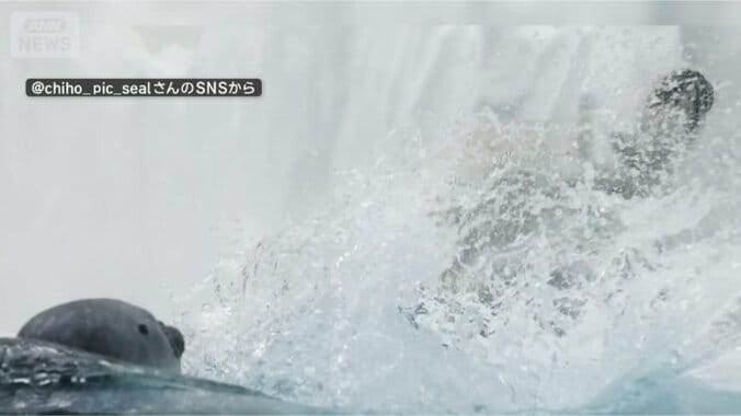 またまた水バシャー！！