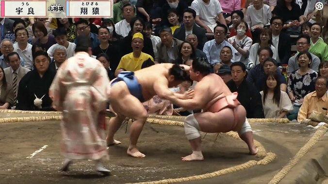 【写真・画像】 1枚目