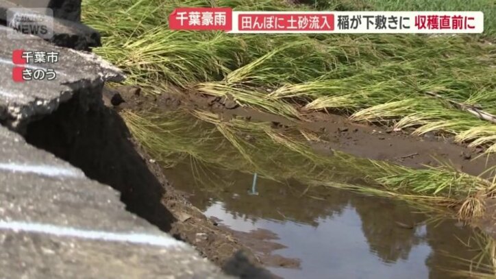 政府は被害農家の支援へ対応急ぐ