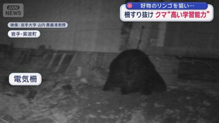 リンゴを保管している小屋