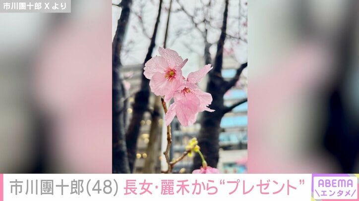 市川團十郎 Xより